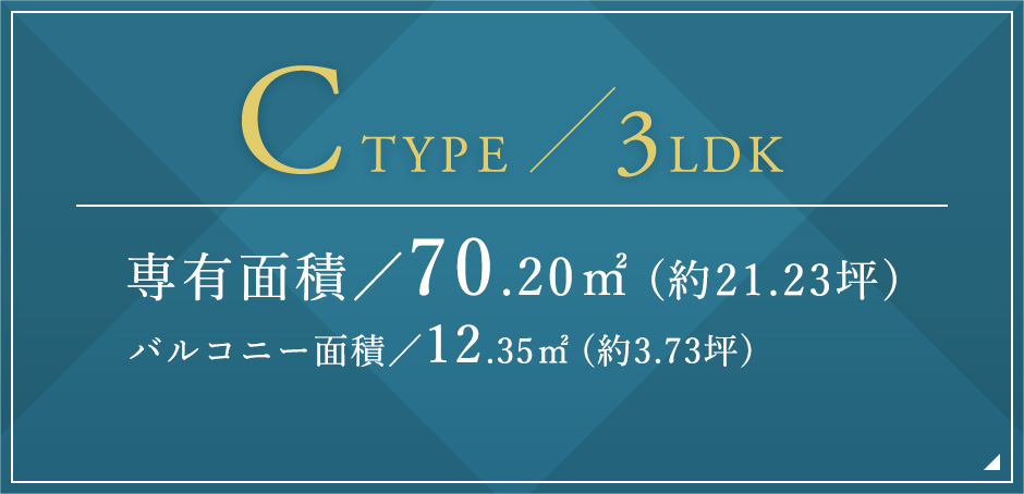Cタイプ